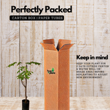 Moringa / Muringa / Drumstick Tree (Layered) (Moringa oleifera) Fruit/Ornamental/Medicinal/ Live Plant (Home & Garden)