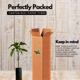 Avocado ( Pinkerton ) grafted / Butter Fruit ( Persea americana ) Fruit Live Plant (Home & Garden)