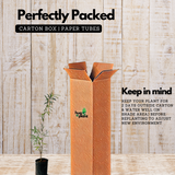 Bottle Brush (Callistemon Citrinus) Flowering/Ornamental Live Plant (Home & Garden)