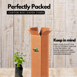 Pudina / Common Mint (Mentha spicata) Ornamental/Medicinal Live Plant (Home & Garden)