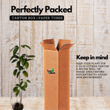 Garlic Vine - ( Mansoa alliacea )Flowering/Ornamental/Medicinal/ Creeper Live Plant (Home & Garden)