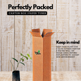 Black Pepper / Kurumulaku (Piper nigrum) Fruit/Ornamental/Medicinal/ Live Plant (Home & Garden)