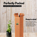 Stevia / Candy Leaf (Stevia rebaudiana) Ornamental/Medicinal Live Plant (Home & Garden)