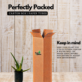 Aloe Vera / Kattarvazha (Aloe vera) Ornamental/Medicinal/ Live Plant (Home & Garden)