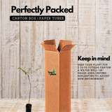 Neem Tree / Aariveppu (Azadirachta indica) Ornamental/Medicinal Live Plant (Home & Garden)