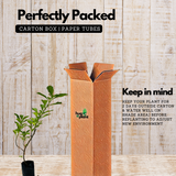 Kesavardhini Plant (Centratherum Punctatum) Flowering/Ornamental/Medicinal Live Plant (Home & Garden)