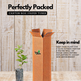 Japanese Honey Suckle - (Lonicera japonica -White Honeysuckle) Flowering | Ornamental| Medicinal Creeper Live Plant (Home & Garden)