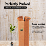 Thenvarikka Jackfruit (artocarpus heterophyllus) Fruit Live Plant (Home & Garden)