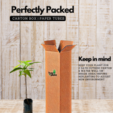 Noni Fruit / Indian mulberry (Morinda citrifolia) Fruit/Medicinal Live Plant (Home & Garden)