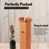 Miniature Strawberry Guava / Red Guava (Psidium cattleianum) Fruit Live Plant (Home & Garden)