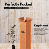 Strawberry Guava / Red Guava (Psidium cattleianum) Fruit Live Plant (Home & Garden)