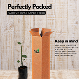 Changalamparanda ( Cissus Quadrangularis ) Medicinal Live Plant (Home & Garden)