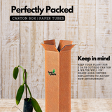 Vanilla Plant (Vanilla planifolia) Ornamental/Medicinal Live Plant (Home & Garden)