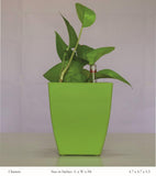 Chatura 12cm Square Plastic Pot With Self-Watering Kit