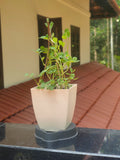 Chatura Smart Tray