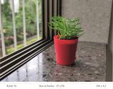 Krish 10 Self Watering Plastic Pot