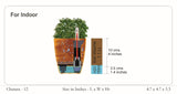 Chatura 12cm Square Plastic Pot With Self-Watering Kit