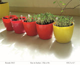 Ronda 1412 Round Plastic Pot With Self-Watering Kit