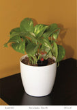 Ronda 1412 Round Plastic Pot With Self-Watering Kit