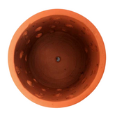 Orchid Terracotta Planter Round Cut