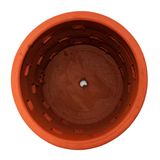 Orchid Terracotta Planter Square Cut