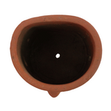 Orchid Wood Terracotta Planter