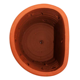 Wall Orchid Terracotta Planter Star Cut