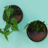 Terracotta Wall Planter Round