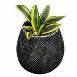 Zigzag Rock Terracotta Planter