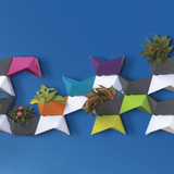 Wonder Wall Plastic Pot