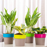 Arty Mocca 14 Plastic Pot