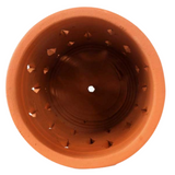 Orchid Terracotta Planter Diamond Cut
