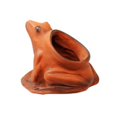 Frog Terracotta Planter
