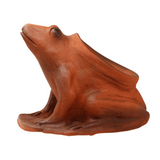 Frog Terracotta Planter