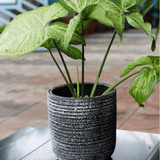 Line Texture Terracotta Planter