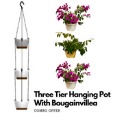 Combo : Tuka 20 Three Tier Hanging Pot With Bougainvillea / Paperflower (boganvilla glabra) Flowering/Ornamental Live Plant (Home & Garden)