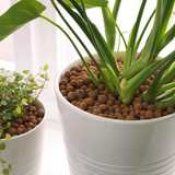 Clay Balls (LECA Balls) - (8-15 MM Size) Round