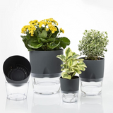 Lobello Selfwatering Pot
