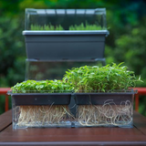 Sprouta Microgreen Pot & Tray (Food Grade Plastic)