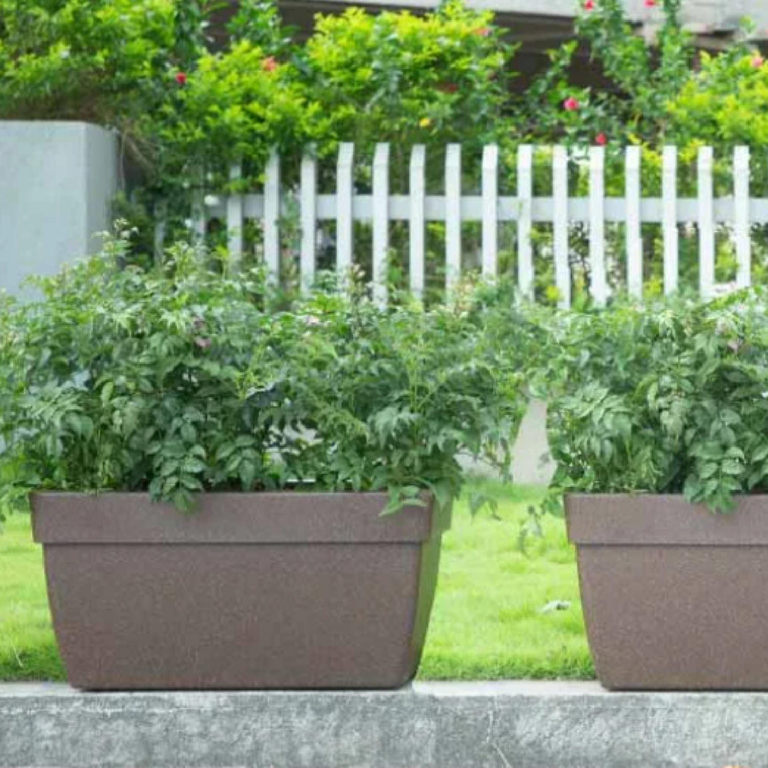Hug A Plant | Barca Rectangle Rotomolded Plastic Pot with Wheels for Home & Garden (Cream Stone Finish, Pack of 1)