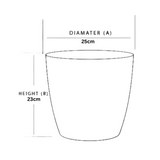 Valencia 25cm Round Plastic Pot for Home & Garden