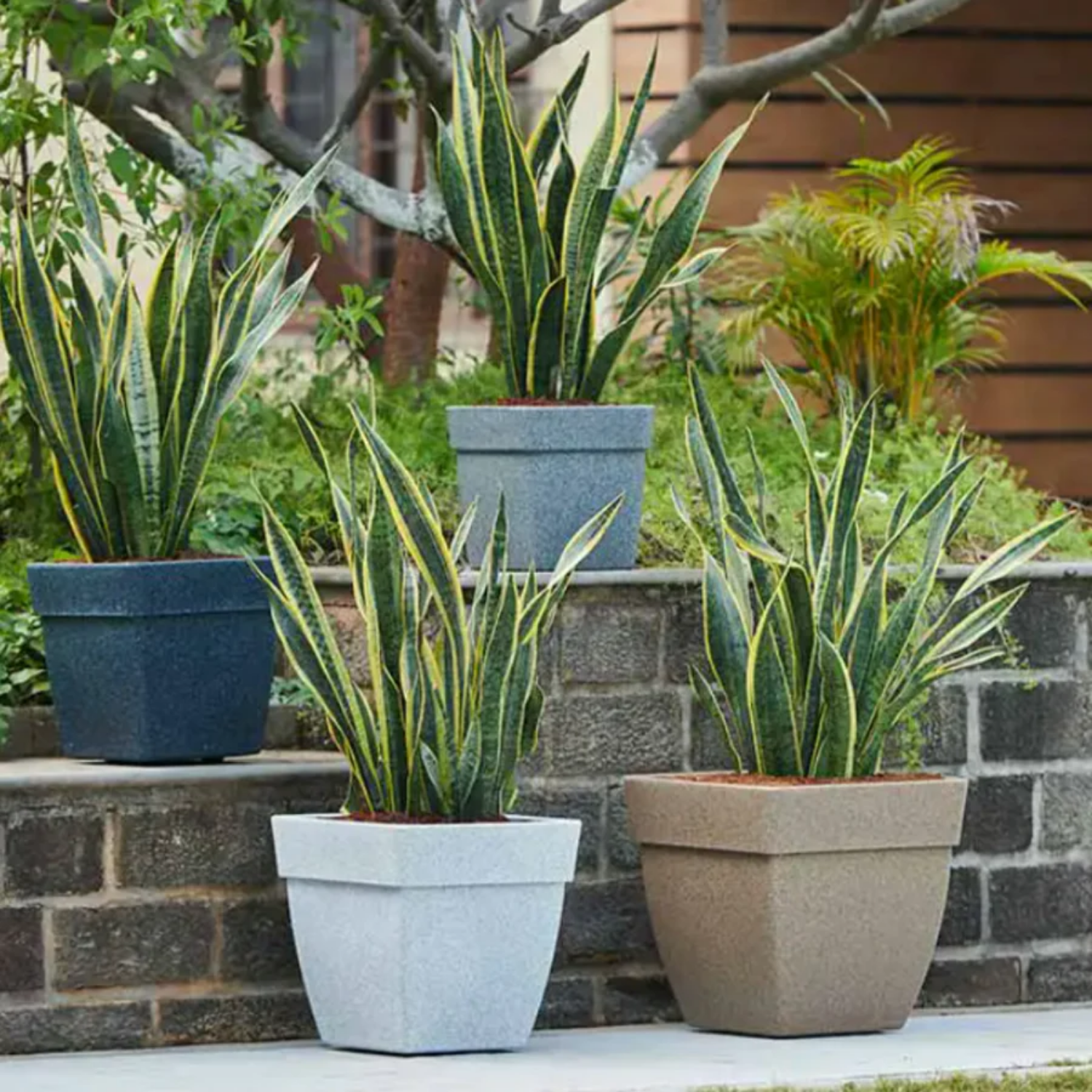 Hug A Plant | Barca Square Rotomolded Plastic for Home & Garden (Midnight Stone Finish, Pack of 1)