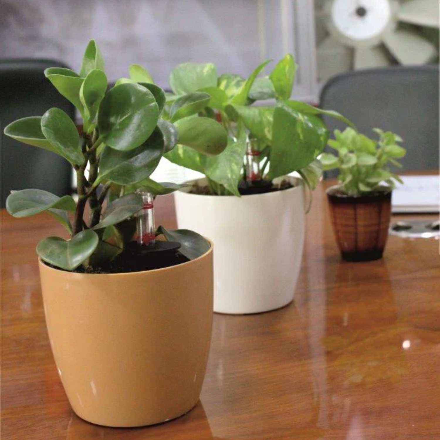 Ronda 1412 Round Plastic Pot (Without Self-Wateriing Kit)