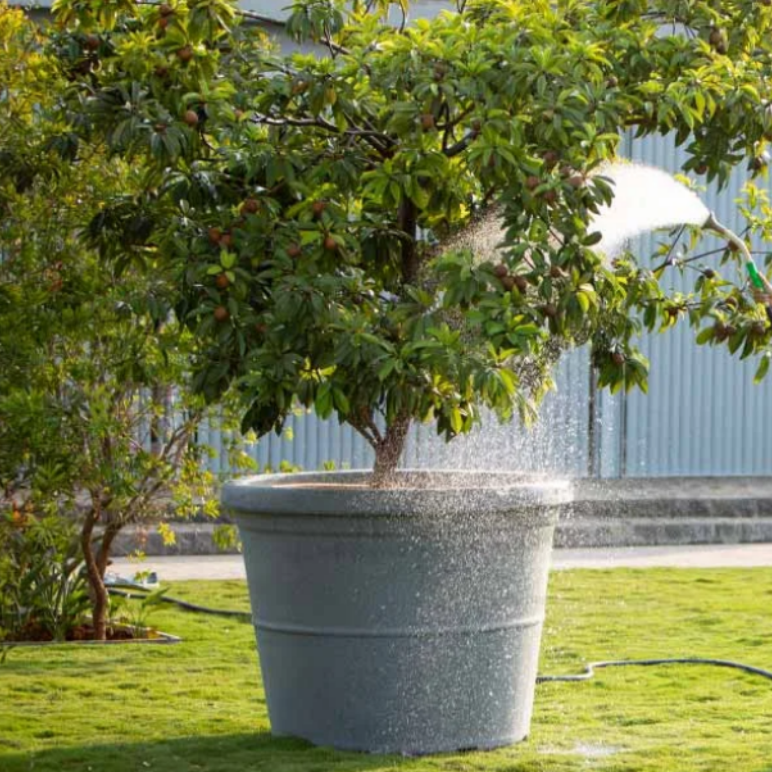 Duro Rotomolded Round Plastic Pot For Home & Garden (Sand Stone Finish, Pack Of 1)