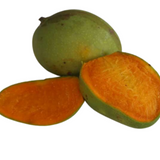 Chakkara Mango  (Grafted) (Mangifera indica) Fruit Live Plant (Home & Garden)