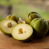White Sapote Fruit (Casimiroa Edulis) Seedling Fruit Plant (Home & Garden Plants)