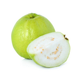 Allahabad Safeda Guava  Fruit Plant (Home & Garden Plants)