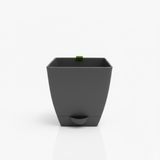 Chatura 8cm Self Watering Square Pot with Rail Hook for Home & Garden Decor (8CM|3.4INCH)