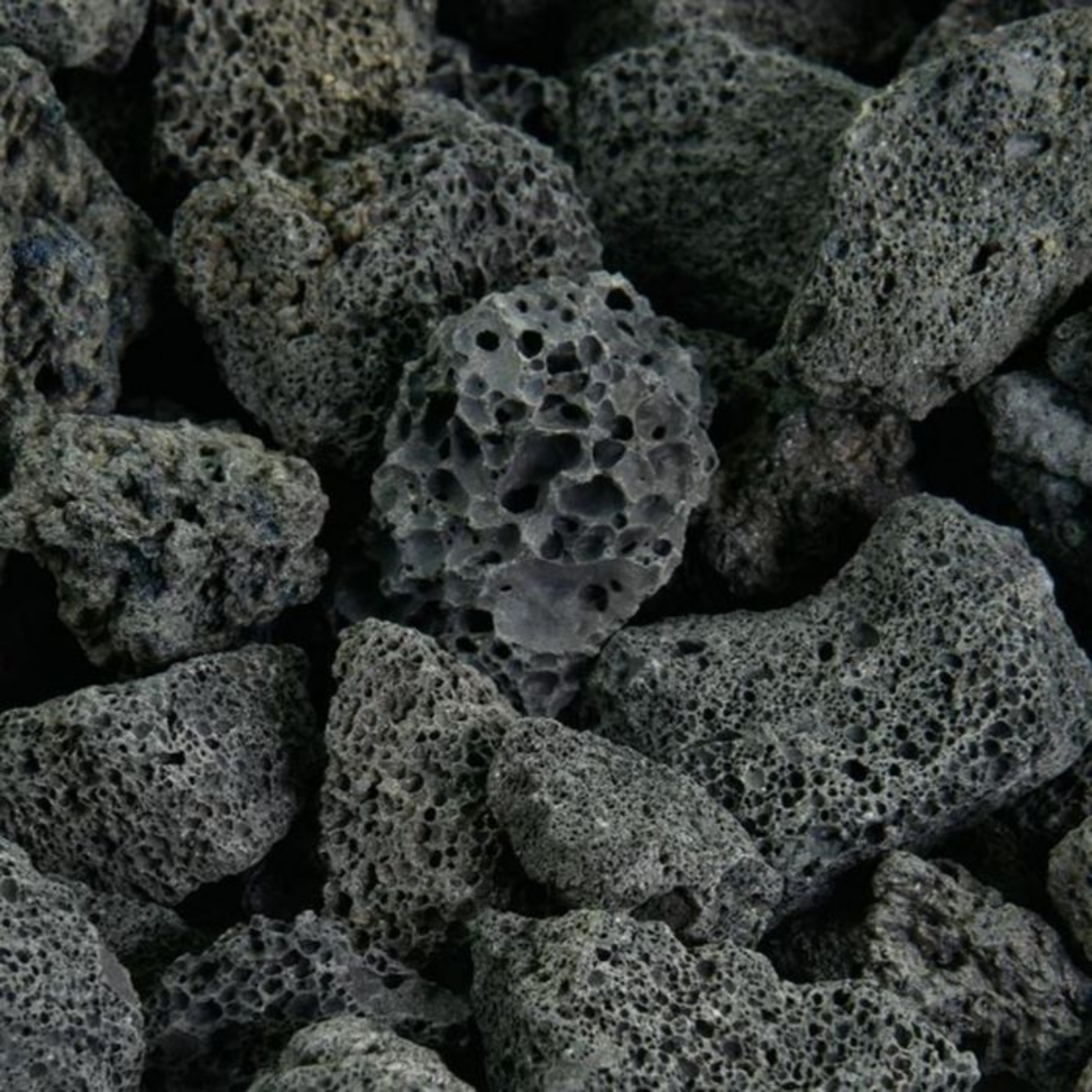 Black Lava Rock for Decoration |Garden|Table|Terrariums| Home Decor