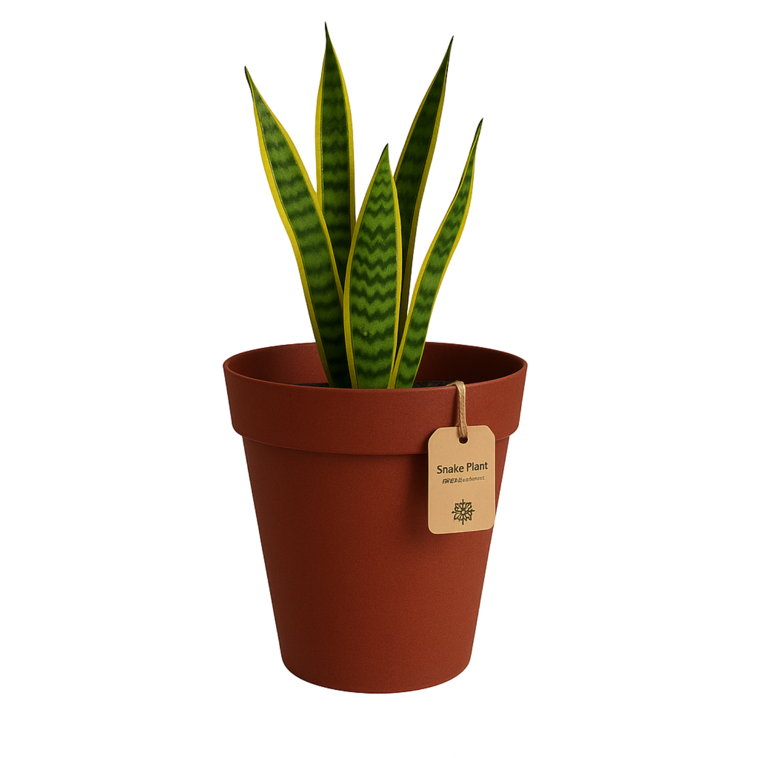 Rome Eco Series for Home & Garden (Pack of 1)
